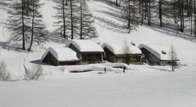 Itinérance en Haute Clarée – Massif du Thabor ; 6 jours mars 2022 image article