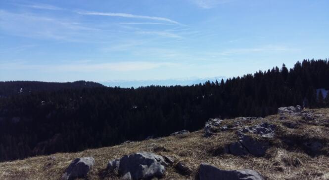 7 formations consacrées à l'application IPHIGENIE   image article