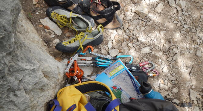 RETOUR COLLECTIVE EX BOURGOGNE MAIS BUIS image article