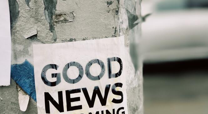Archive des newsletters du Club image article