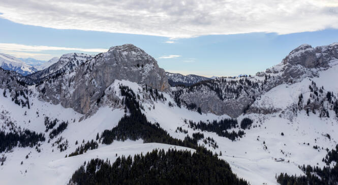 24 Janvier 2016 Le sommet du Cou 1809 m image article
