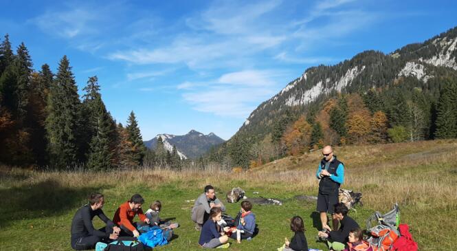 MINI CAF 2023 image article