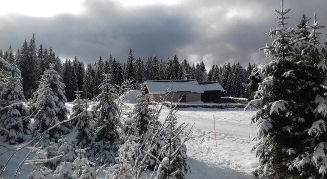 Lancement de saison, à vos spatules dans le Jura ! image article