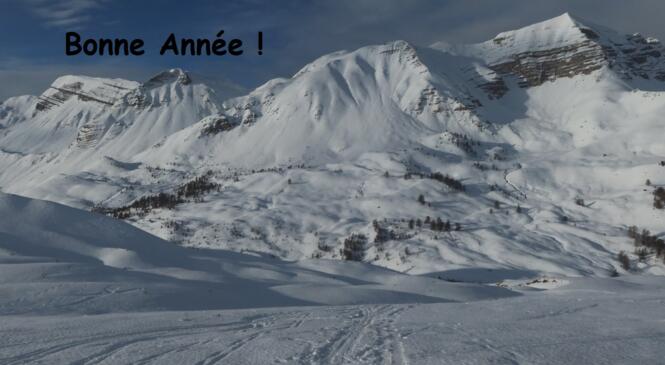 Meilleurs Voeux image article