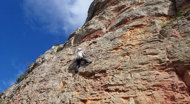 Collectives escalade du jeudi image article