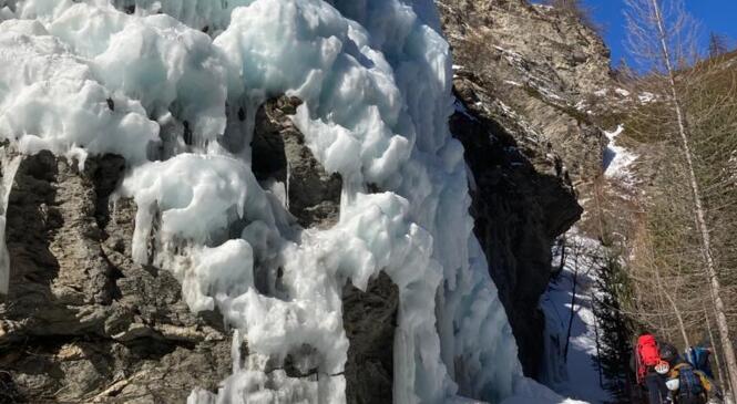 WE Initiation Cascade de Glace n°2 avec les Guides des Ecrins  image article