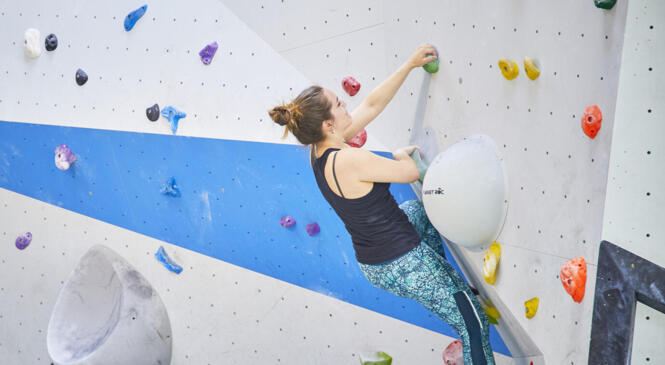 ESCALADE : TOUS AU BLOC ! image article