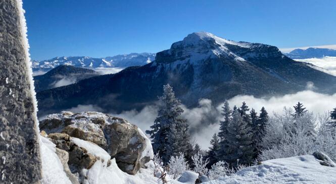 CYCLE RAQUETTE NIVEAU INITIE / COMPLET image article