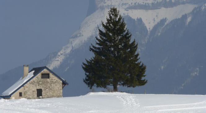 Jeudi 30 novembre, ouverture de la saison SKI DE FOND 2023 ... au local ! image article