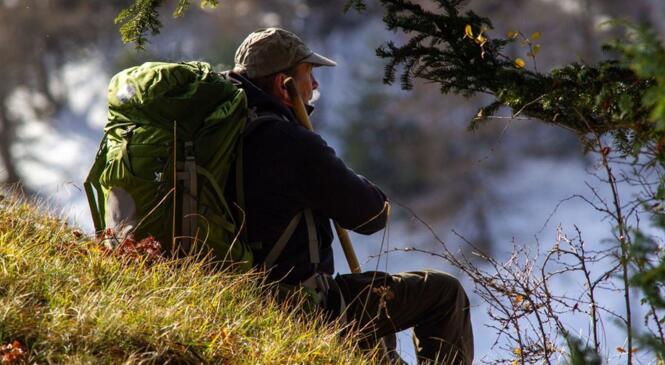 Cinéma Montagne: "VIVRE AVEC LES LOUPS de Jean-Michel BERTRAND image article