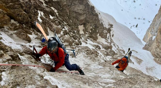 Les Bananes 2024, chapitre 3 image article