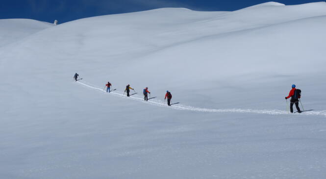 Cycle vers l'initié Splitboard 2024-2025 COMPLET image article