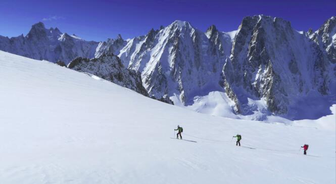 Cycle « étoilé » - saison 2025 image article