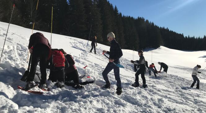 FORMATION DVA RAQUETTES TERRAIN image article