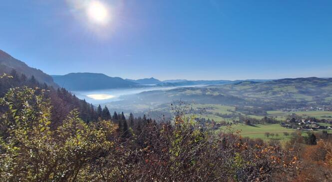 Inter CAF Lyon Chambéry au Lac d'Aiguebelette image article