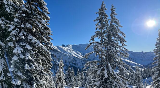 SEJOUR RAQUETTES BEAUFORTAIN / Reste 2 places image article