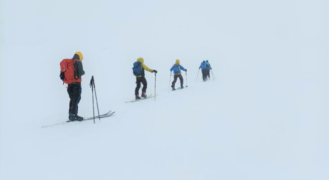 Les Lagopèdes traversent les Cerces ! image article