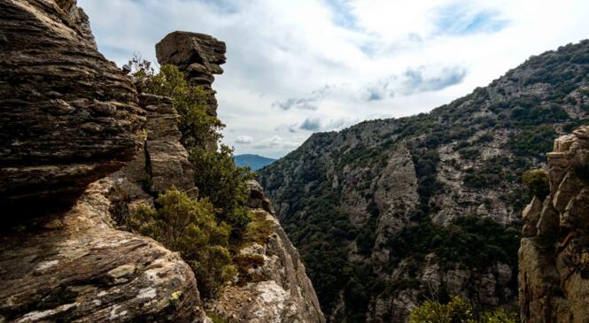 Un weekend à la découverte de l'alpinisme dans le Caroux !  image article