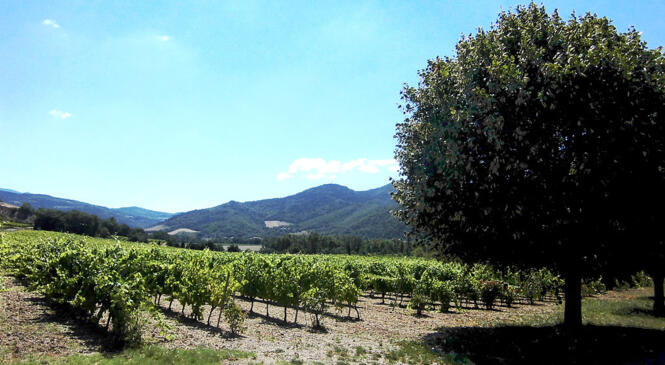 Itinérance en Drome provençale du 13 au 21 mai 2017, IL RESTE DES PLACES, INSCRIVEZ VOUS VITE ! image article