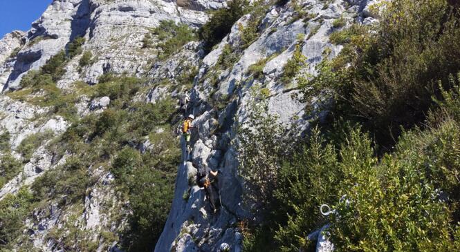 Compte rendu de sortie : Roche Veyrand image article