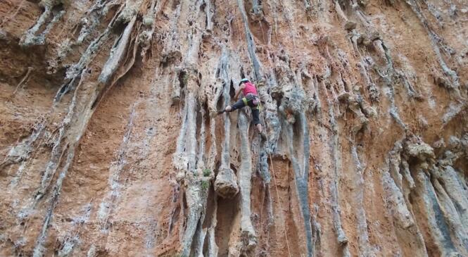 Cycle autonomie en GRECE  image article