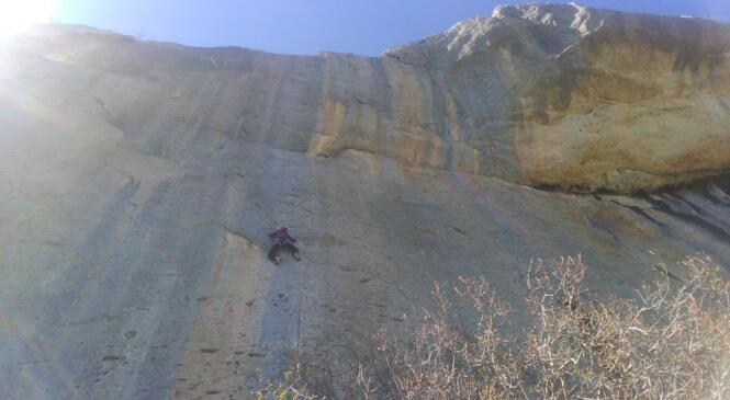 Collective CEUSE des 11-12 MAI  image article