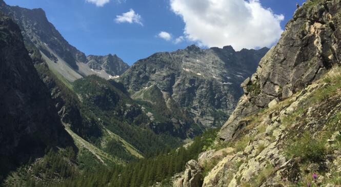 Camp Open et multi-acivités à AILEFROIDE image article