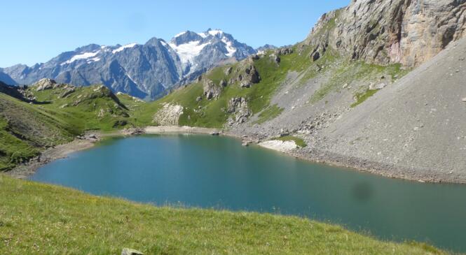 Lacs et glaciers dans les Hautes Alpes image article