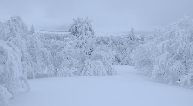 Randonnée glaciale sur les Hautes Chaumes du Forez image article