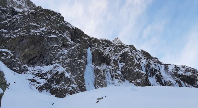 Reprise cascade image article
