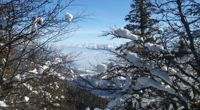 Panorama sur le Vercors image article