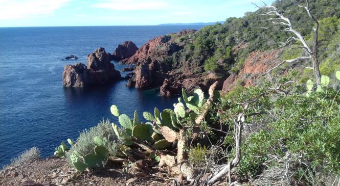1 ou 2 places restantes pour les Randos dans l'ESTEREL septembre 2021 !! image article