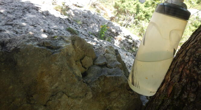 RETOUR COLLECTIVE ESCALADE LANS EN VERCORS image article