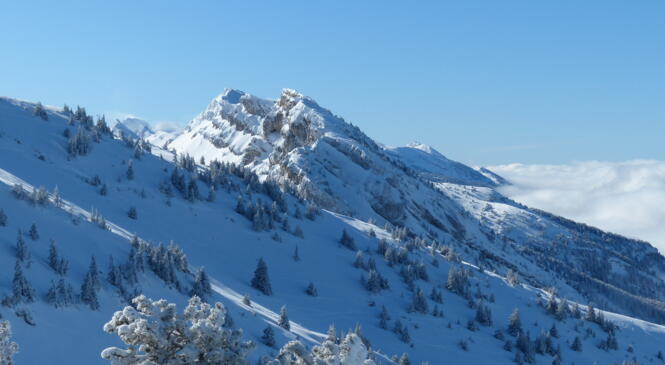 SAISON RAQUETTE 2022 image article