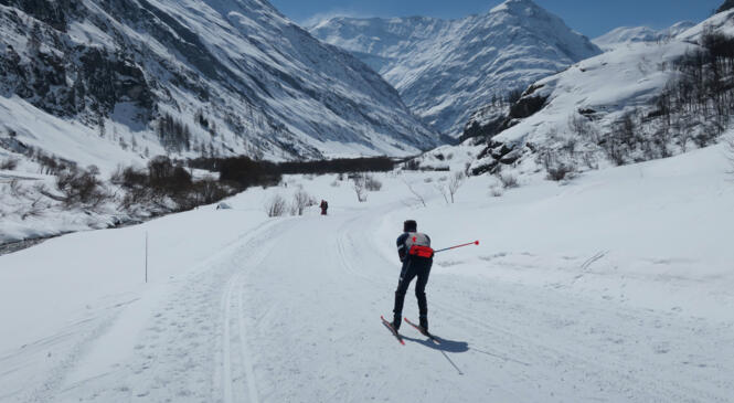 Saison 2021-2022 Ski de Fond Programme image article