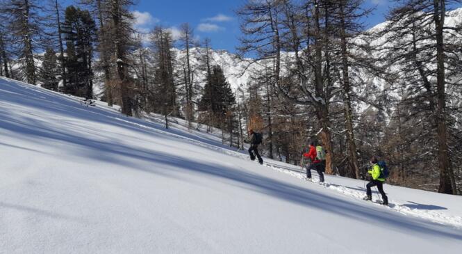 Tour du Viso image article