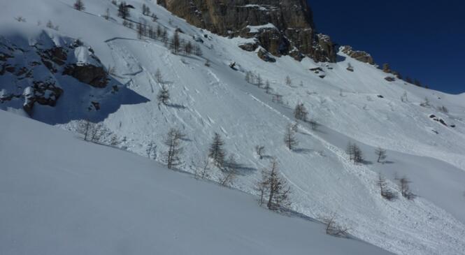 Compte-rendu de la conférence neige et avalanches d'Alain Duclos image article