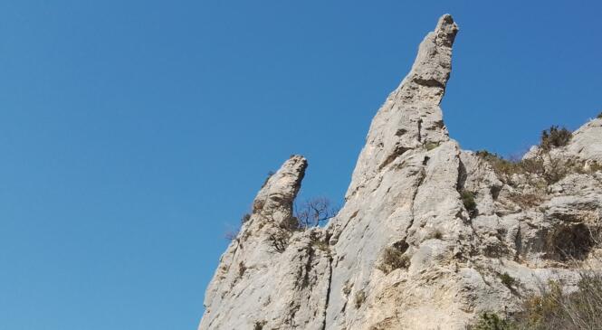 Escalade de La Dent du Cafiste image article