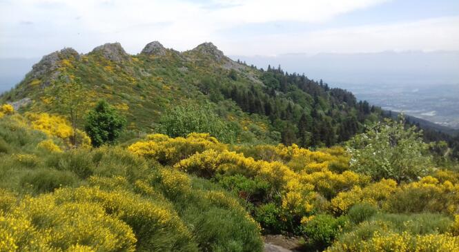 CARTO RANDO PILAT les 2 jours de vote, avril 2022 image article