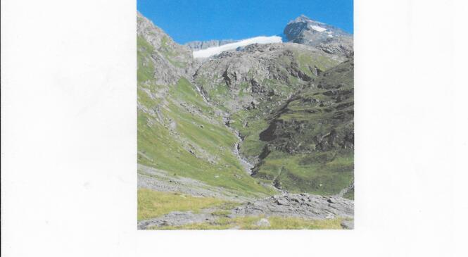 image article