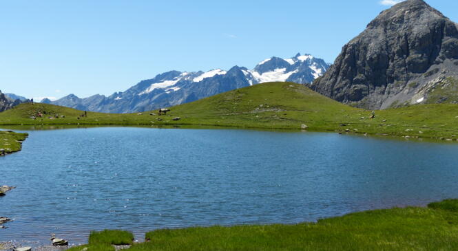 COMMISSION ENVIRONNEMENT DURABLE - Compte-Rendu image article