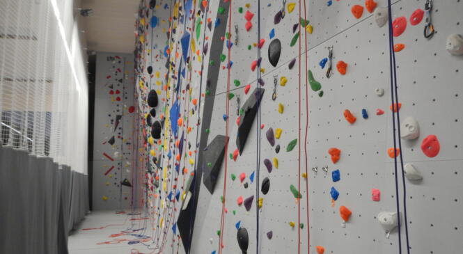 GYMNASE JEANNETTE DESPARMET RUELLO : ESCALADE DEBUTANTS QUELQUES PLACES image article
