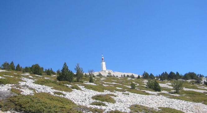 Randonnées dans le Ventoux à la Toussaint image article