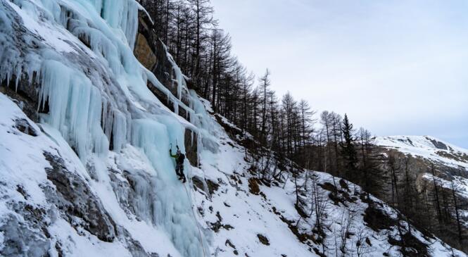 Cycle Alpinisme Hivernal Progression 2.0 - Cocktail givré image article