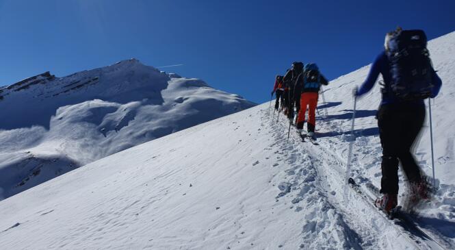 Un nouveau cycle initiation en ski de randonnée ! image article