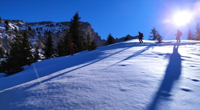 Un cycle Evolution pour progresser ! Pré-inscriptions CLOSES image article