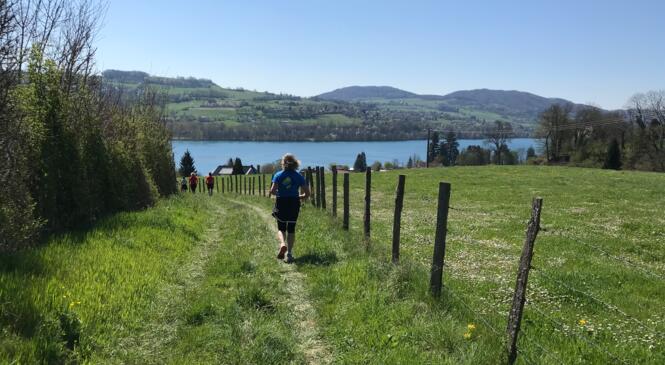 MARCHE NORDIQUE OU TRAIL LAC DE PALADRU image article