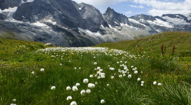 Traversée Beaufortain Vanoise image article
