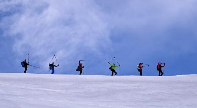 Retour sur le 3ème week-end "Lagopèdes Alpins" : à ski, au pied des aiguilles image article
