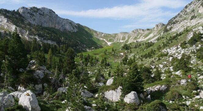 POUR LA LIBERTE D'ACCES A LA RESERVE DES HAUTS DE CHARTREUSE image article